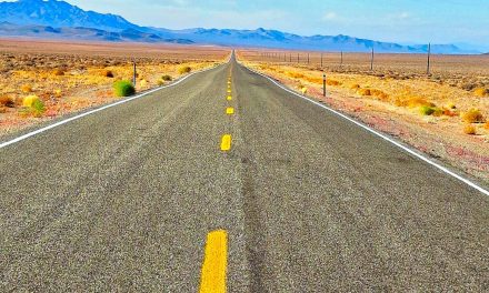 7 dicas para botar o pé na estrada, sem imprevistos!