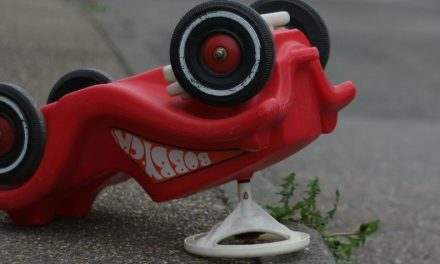 O que devo fazer em caso de sinistro?